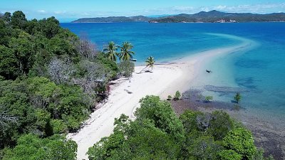 island forest